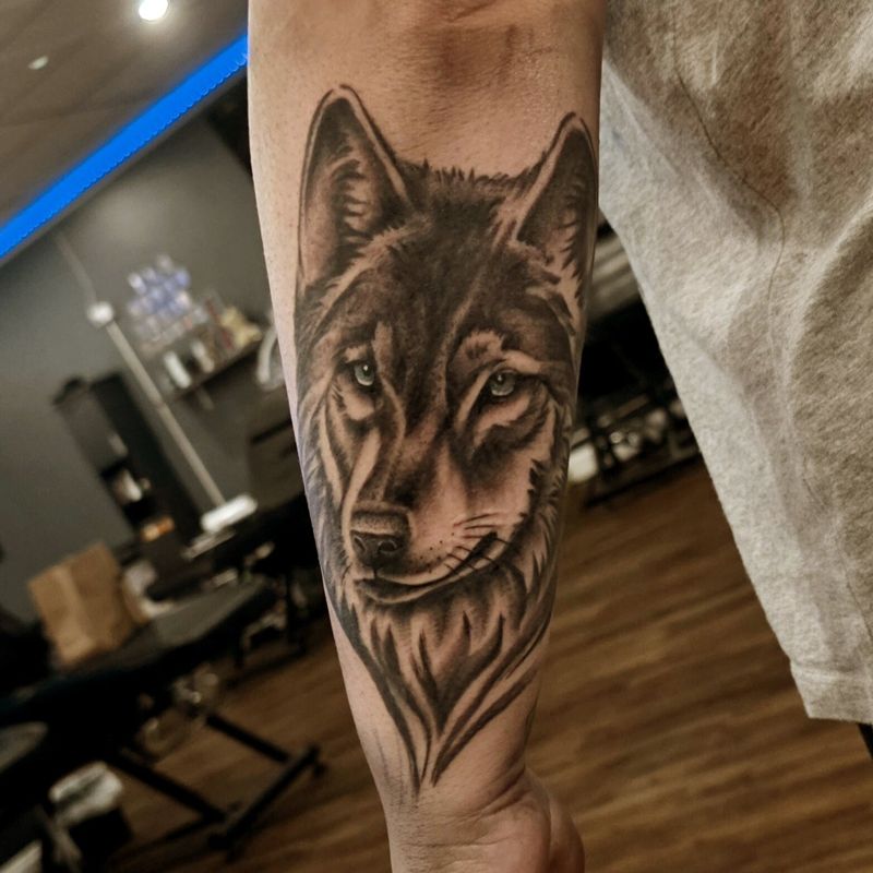 Black and grey realism wolf portrait on a forearm